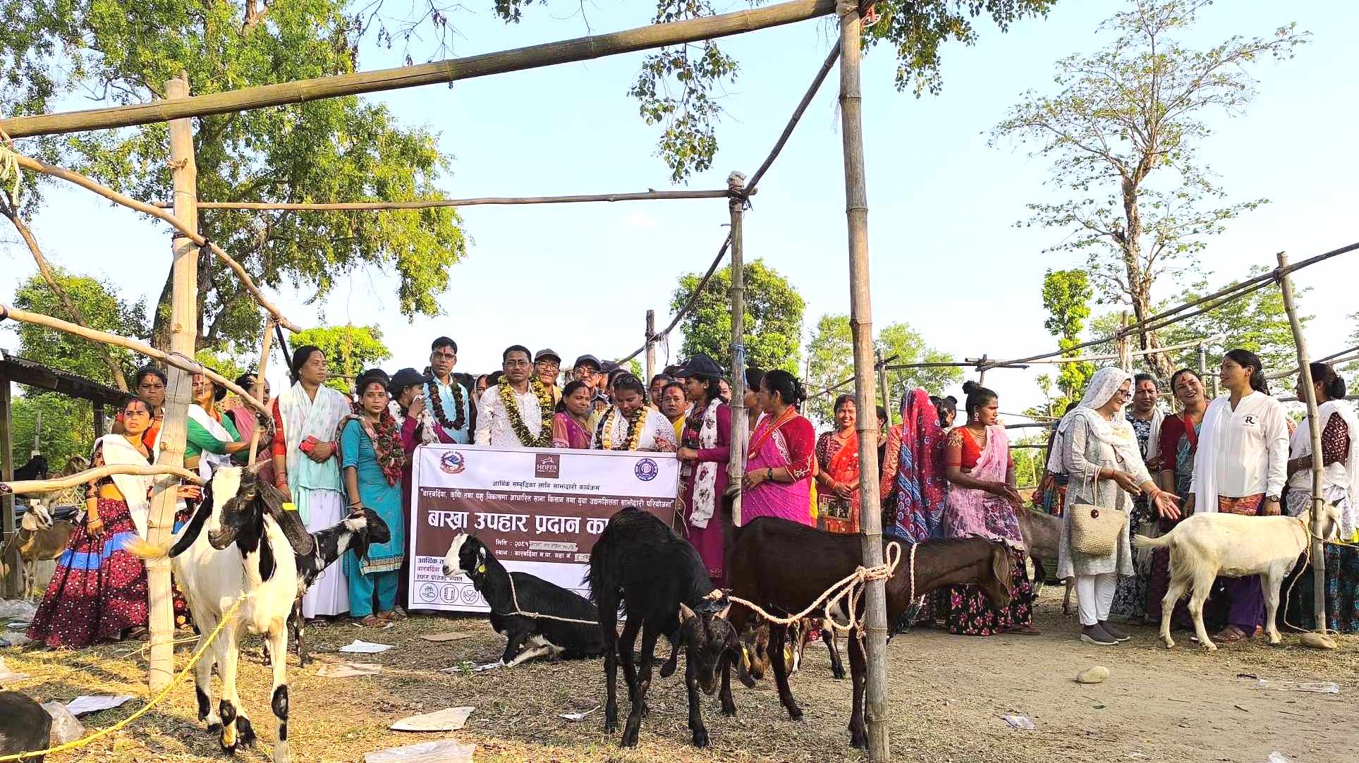 आर्थिक उपार्जन गर्न स्वावलम्बी महिला सदस्यलाई बाख्रा उपहार